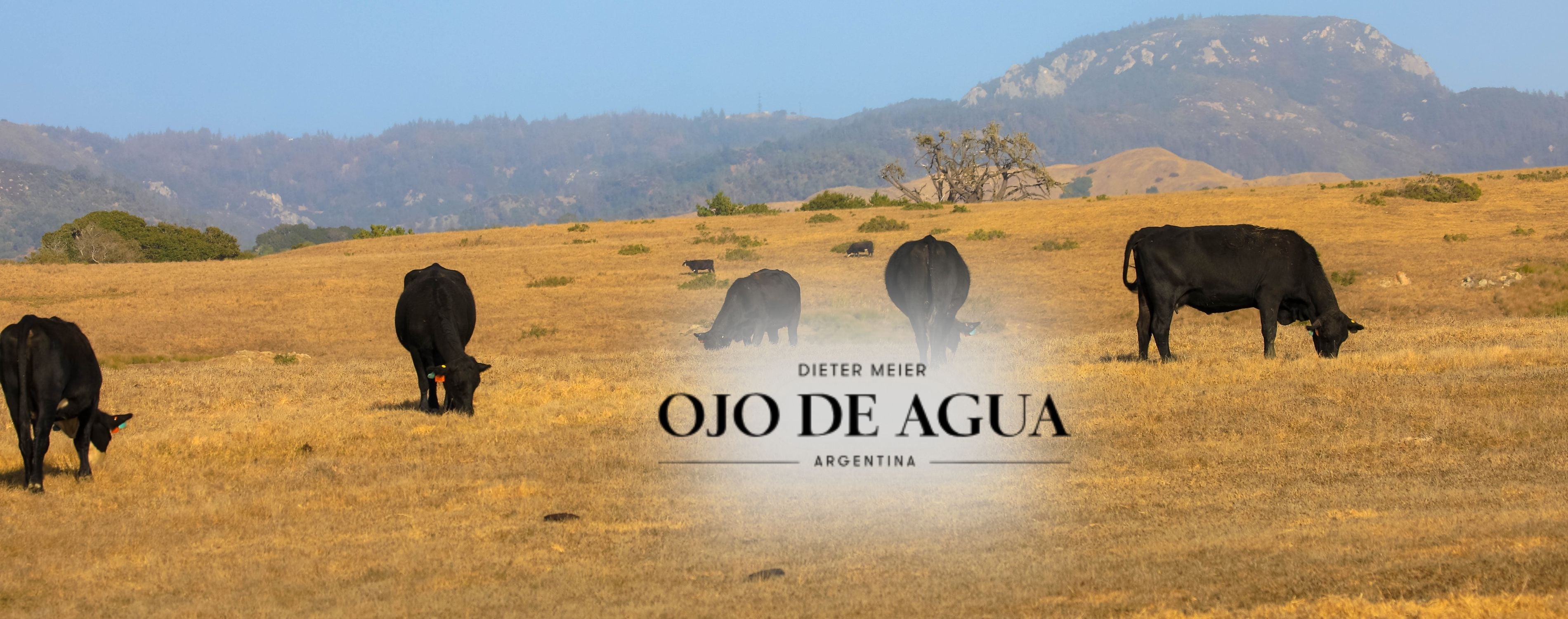Argentinien Ojo de Agua